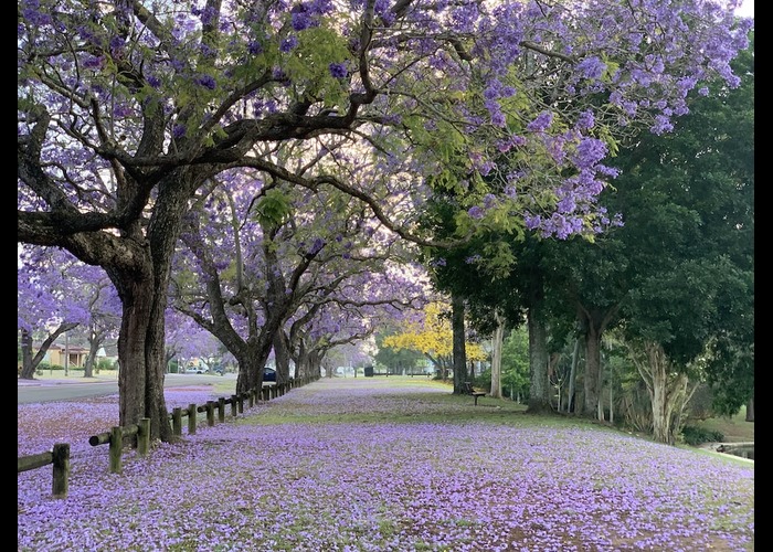 Blog